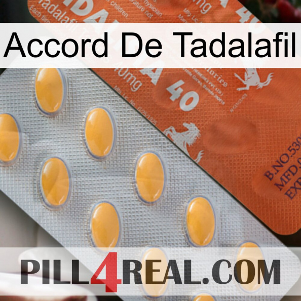 Tadalafil Accord 43